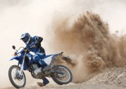 Yamaha WR250R